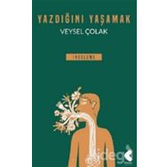 Yazdığını Yaşamak - Veysel Çolak
