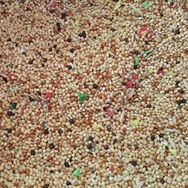 Yemcipetshop 1 kg Açık Muhabbet Kuşu Yemi