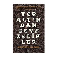 Yeraltından Gevezelikler - Mairtin O Cadhain