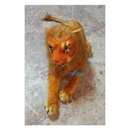 Yk Store Sesli Vahşi Aslan Büyük Boy 50 cm Peluş Oyuncak