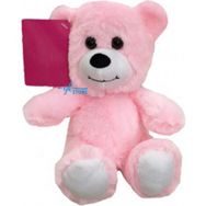 Yk Store Sevimli Pembe Ayıcık 15 cm Peluş Oyuncak