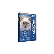 YKS Dil Intro Pack İngilizce Gramer Canavarı Modadil Yayınları