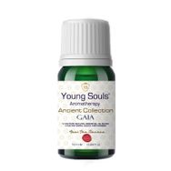 Young Souls 10 ml Aromaterapi Gaia Uçucu Yağ