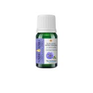 Young Souls 10 ml Aromaterapi Keten Tohumu (Bitkisel Sabit) Yağ