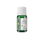Young Souls 10 ml Aromaterapi Sarımsak (Bitkisel Sabit) Yağ