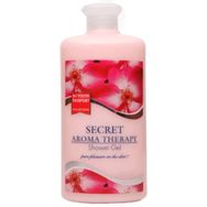 Youth Passport Secret 650 ml Duş Jeli