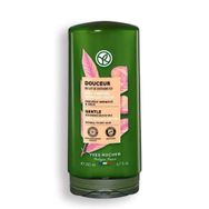 Yves Rocher 200 ml Douceur Organik Kestane Sütü Kolay Tarama Saç Kremi