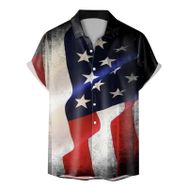 YWBleked Hawaii 3D Baskı Bağımsızlık Günü Denim AG Erkek Gömlek