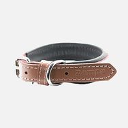 Zampa 47 cm Kahverengi Köpek Boyun Tasması