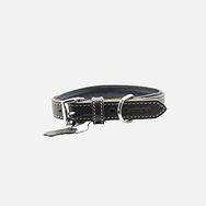 Zampa Classic 42 cm Siyah Köpek Boyun Tasması