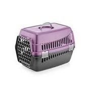 Zampa Orta Boy Renkli 55x37x36 cm Kedi Köpek Taşıma Box