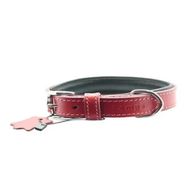Zampa Tribeca 2.5x47 cm Yumuşak Dokulu Gerçek Deri Köpek Tasması