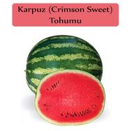 Zencefil Organik 10x100 Adet Crimson Sweet Karpuz Tohumu