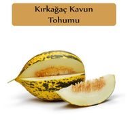 Zencefil Organik 1x300 Adet Kırk Ağaç Kavun Tohumu