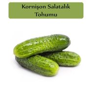 Zencefil Organik 5x300 Adet Turşuluk Salatalık Tohumu
