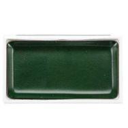 Zig Kuretake Gansai Tambi 058 Ever Green Sulu Boya
