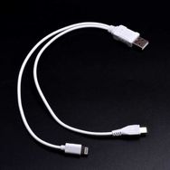 Zore 2 in 1 Kısa Kablo iPhone Şarj-Micro Usb Kablo