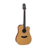 Gd20ce shop ns takamine