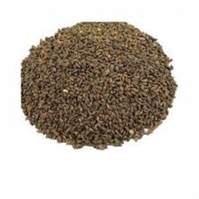 1 kg Faselya-Arı Otu Tohumu