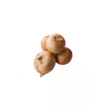 1 kg Soğan
