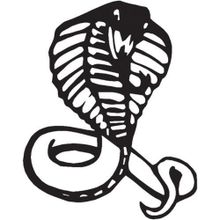130 cm Cobra Folyo Sticker