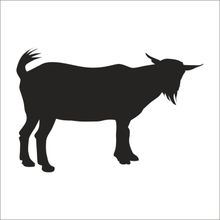 130 cm Keçi Folyo Sticker