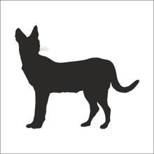 130 cm Vaşak Folyo Sticker
