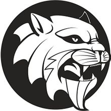 20 cm Aslan 8 Folyo Sticker