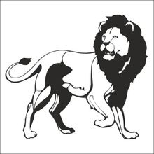 20 cm Aslan Lion Folyo Sticker