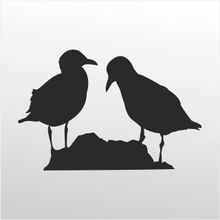 20 cm Kuşlar Folyo Sticker
