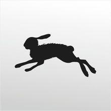 200 cm Çöl Tavşanı Folyo Sticker