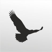 200 cm Kartal Folyo Sticker