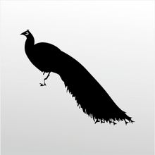 200 cm Tavuz Kuşu Folyo Sticker