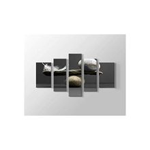 2645 Sanat Taş Ve Tüy Dengesi 5 Parçalı Tablo-150 X 80 Cm Parçalı