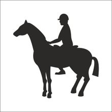 30 cm Binici Folyo Sticker