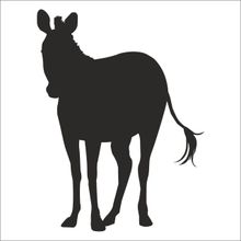 40 cm Zebra Folyo Sticker