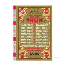 41 YASIN (CAMI BOY-2 RENK-TÜRKÇE OKUNUŞLARI VE AÇIKLAMALARI) - ELMALILI MUHAMMED HAMDI YAZIR