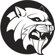 50 cm Aslan 8 Folyo Sticker