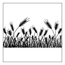 60 cm Buğday Başak Folyo Sticker