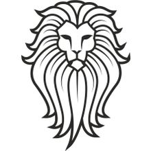70 cm Aslan 9 Folyo Sticker