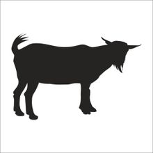 70 cm Keçi Folyo Sticker