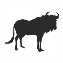 90 cm Bufalo Folyo Sticker