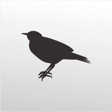 90 cm Bülbül Folyo Sticker