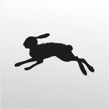 90 cm Çöl Tavşanı Folyo Sticker