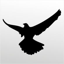 90 cm Güvercin Folyo Sticker