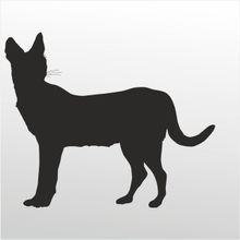 90 cm Kedi Folyo Sticker