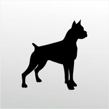 90 cm Pitbull Folyo Sticker