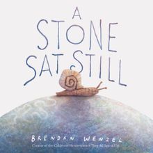 A Stone Sat Still - Brendan Wenzel