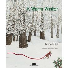 A Warm Winter - Feridun Oral