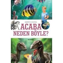 Acaba Neden Böyle? - Alberta Madra